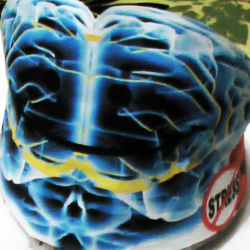 capacete: Faz o teu cérebro feliz!