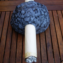cerebro: Pensa à frente! O tabaco que não te atravesse a mente.