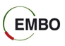 embo