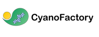 CYANO FACTORY