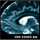ver video