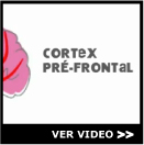 ver video