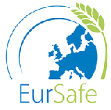 eursafe logo