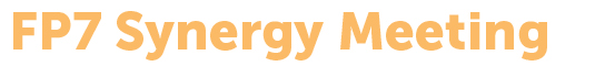 FP7 Synergy Meeting