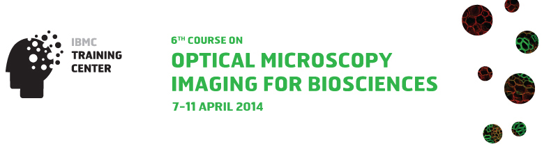 ANIMPACT, Scientific Meeting, 7th February of 2014 at Porto, Portugal